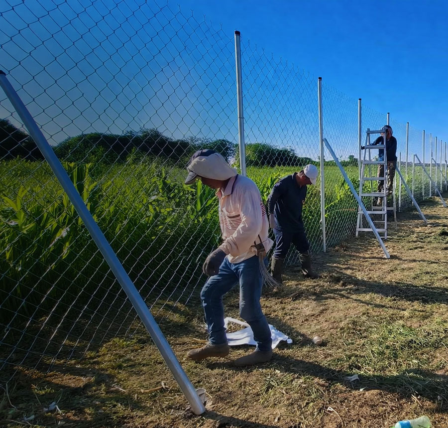 屏東菱型網圍籬